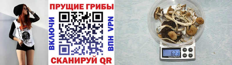 Галлюциногенные грибы мухоморы  Киров 